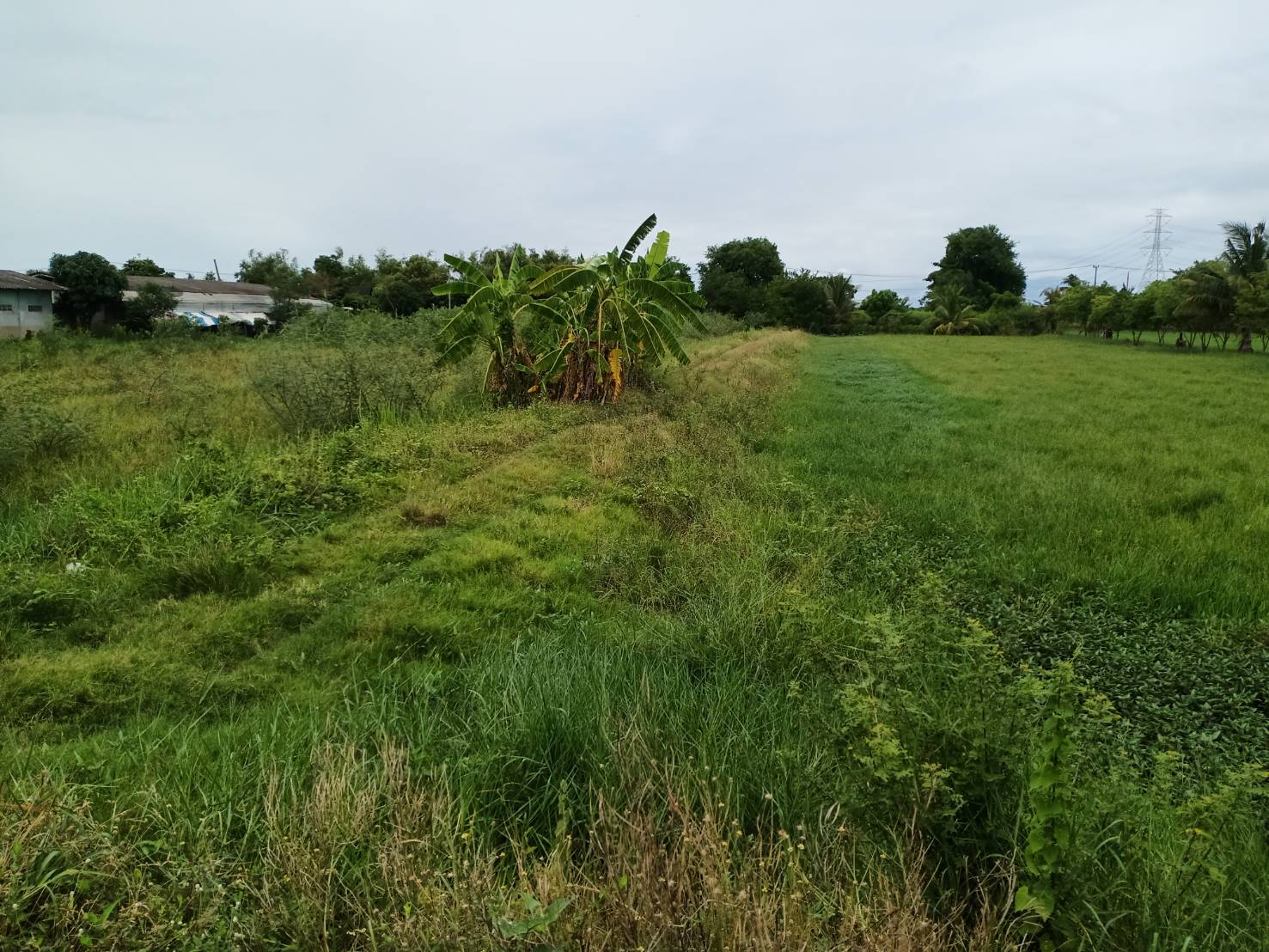 ขายที่ดินสีม่วง ต.ไทรใหญ่ นนทบุรี 7 ไร่ 78 ตร.วา ไร่ละ 2,700,000 บาท